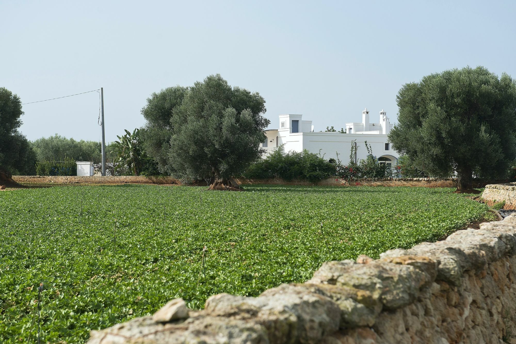 Masseria Don Luigi-Luxury Farmhouse Savelletri Kültér fotó